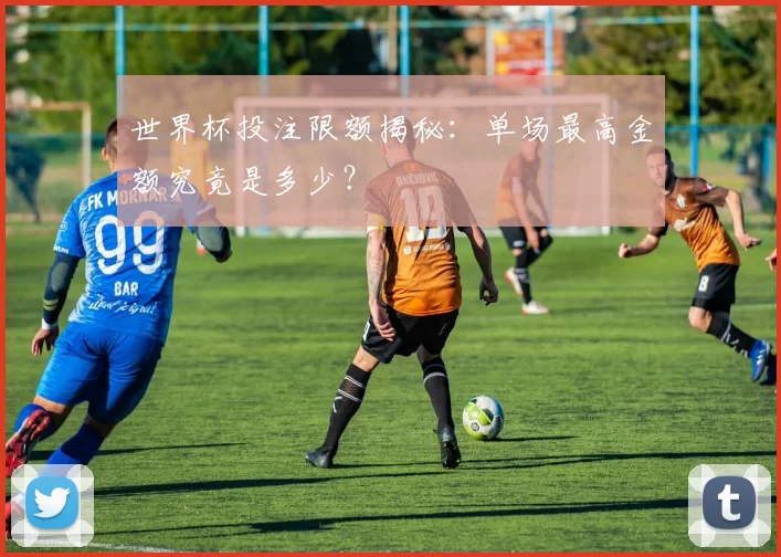 世界杯投注限额揭秘：单场最高金额究竟是多少？