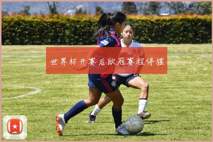 世界杯开赛后欧冠赛程停摆