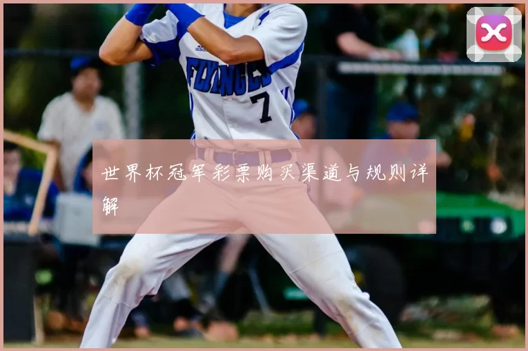 世界杯冠军彩票购买渠道与规则详解