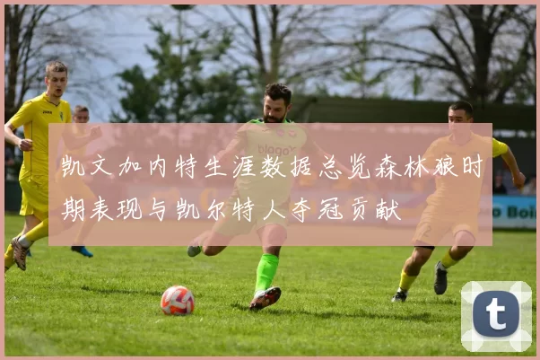 凯文加内特生涯数据总览森林狼时期表现与凯尔特人夺冠贡献