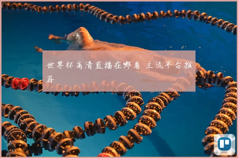世界杯高清直播在哪看 主流平台推荐