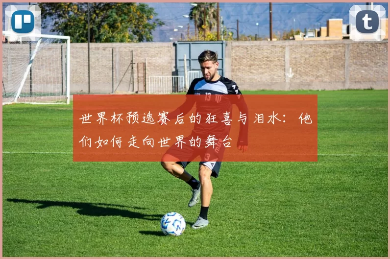 世界杯预选赛后的狂喜与泪水:他们如何走向世界的舞台