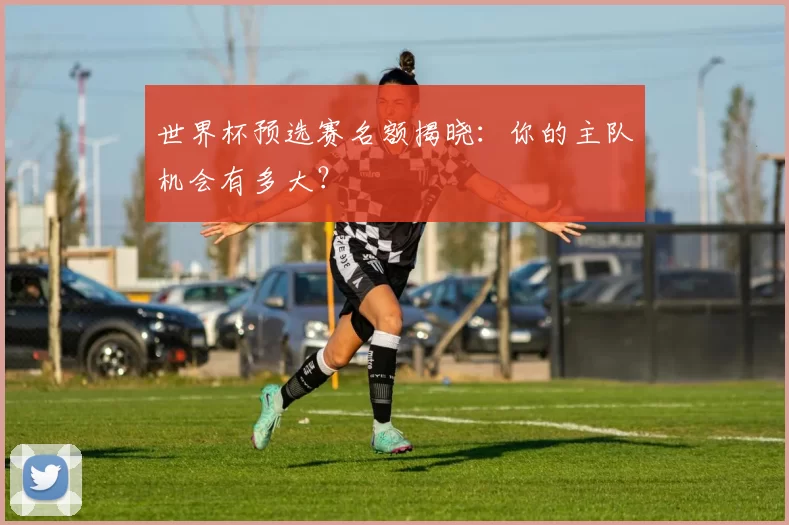 世界杯预选赛名额揭晓:你的主队机会有多大?