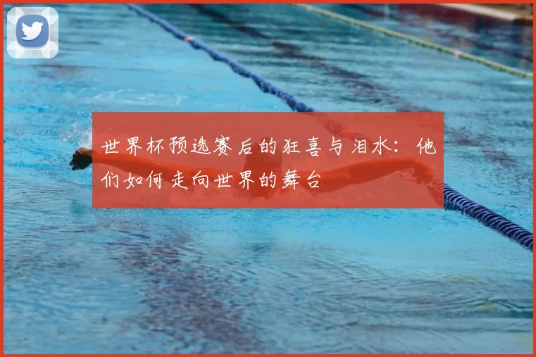 世界杯预选赛后的狂喜与泪水:他们如何走向世界的舞台