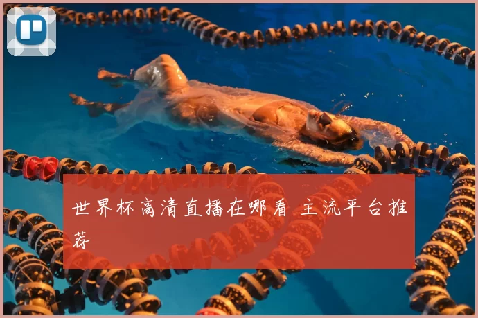 世界杯高清直播在哪看 主流平台推荐