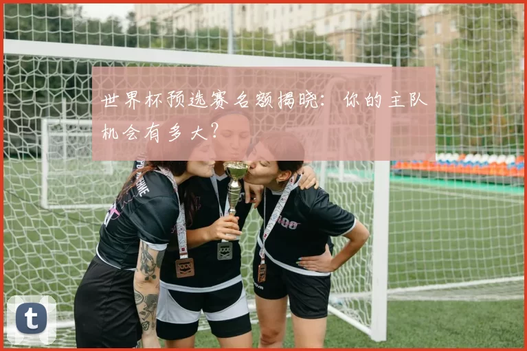 世界杯预选赛名额揭晓:你的主队机会有多大?
