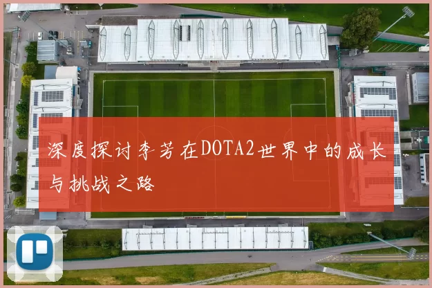 深度探讨李芳在DOTA2世界中的成长与挑战之路