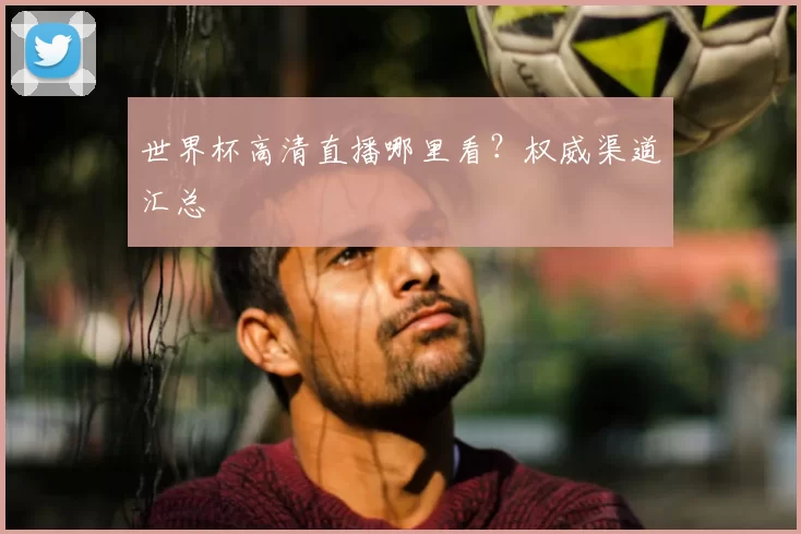世界杯高清直播哪里看?权威渠道汇总